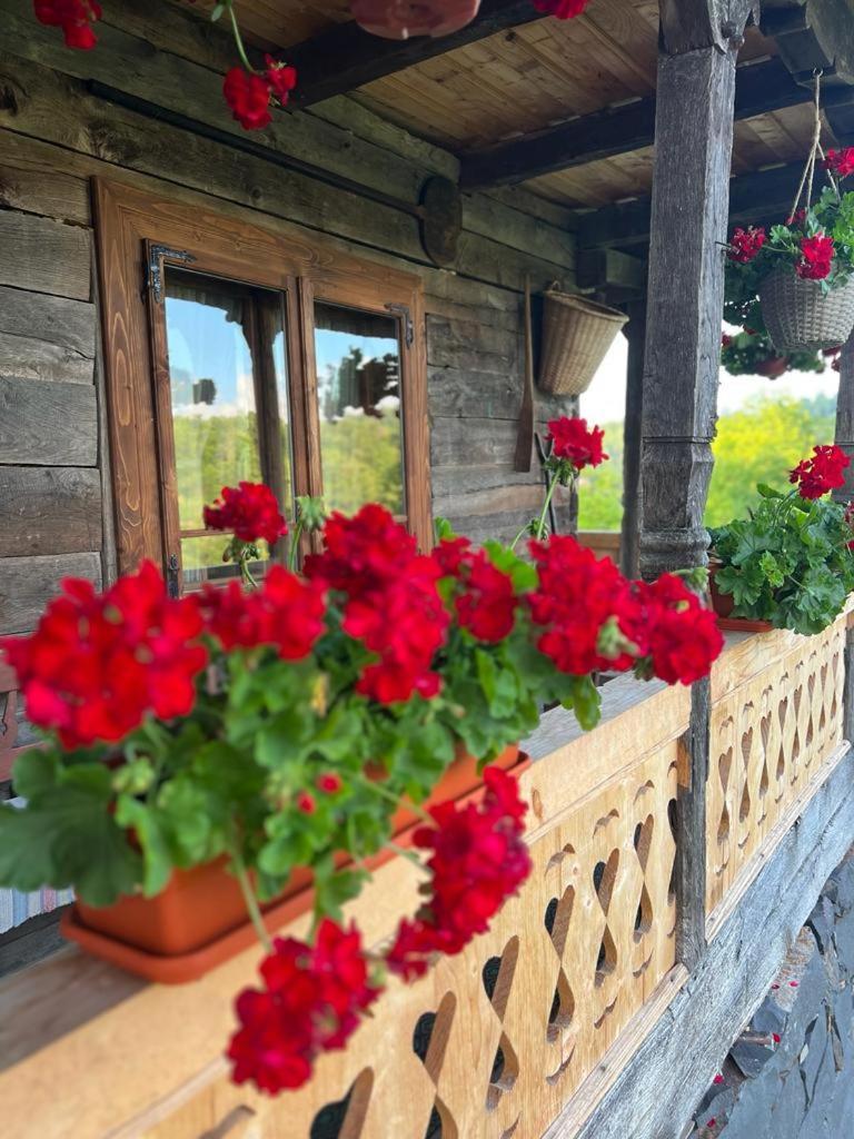 Отель Casa Veche Breb Экстерьер фото